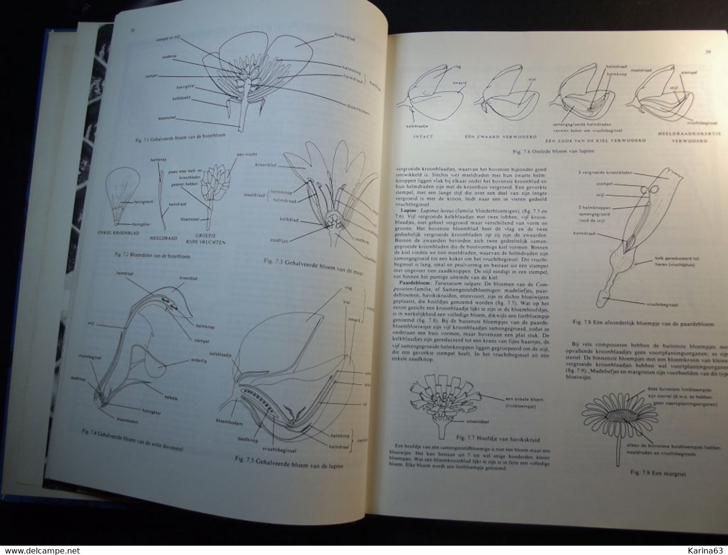 Biologie - - Inleiding - Athenea Lycea - Studieboek Inleiding To Biologie - D.G. Mackean - 263 Pages - Hardcover - Scolaire