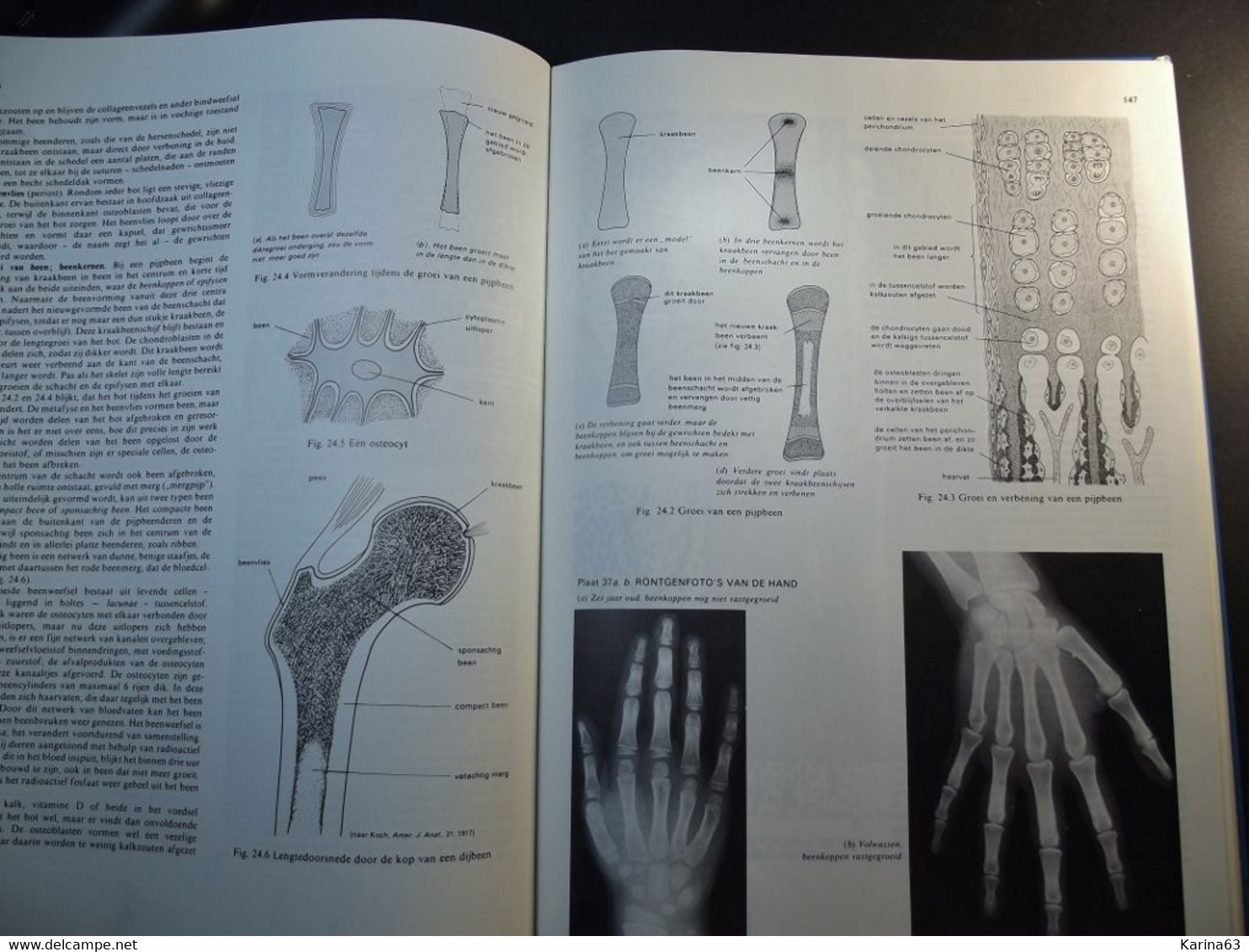 Biologie - - inleiding - Athenea Lycea - studieboek Inleiding to Biologie - D.G. Mackean - 263 pages - Hardcover