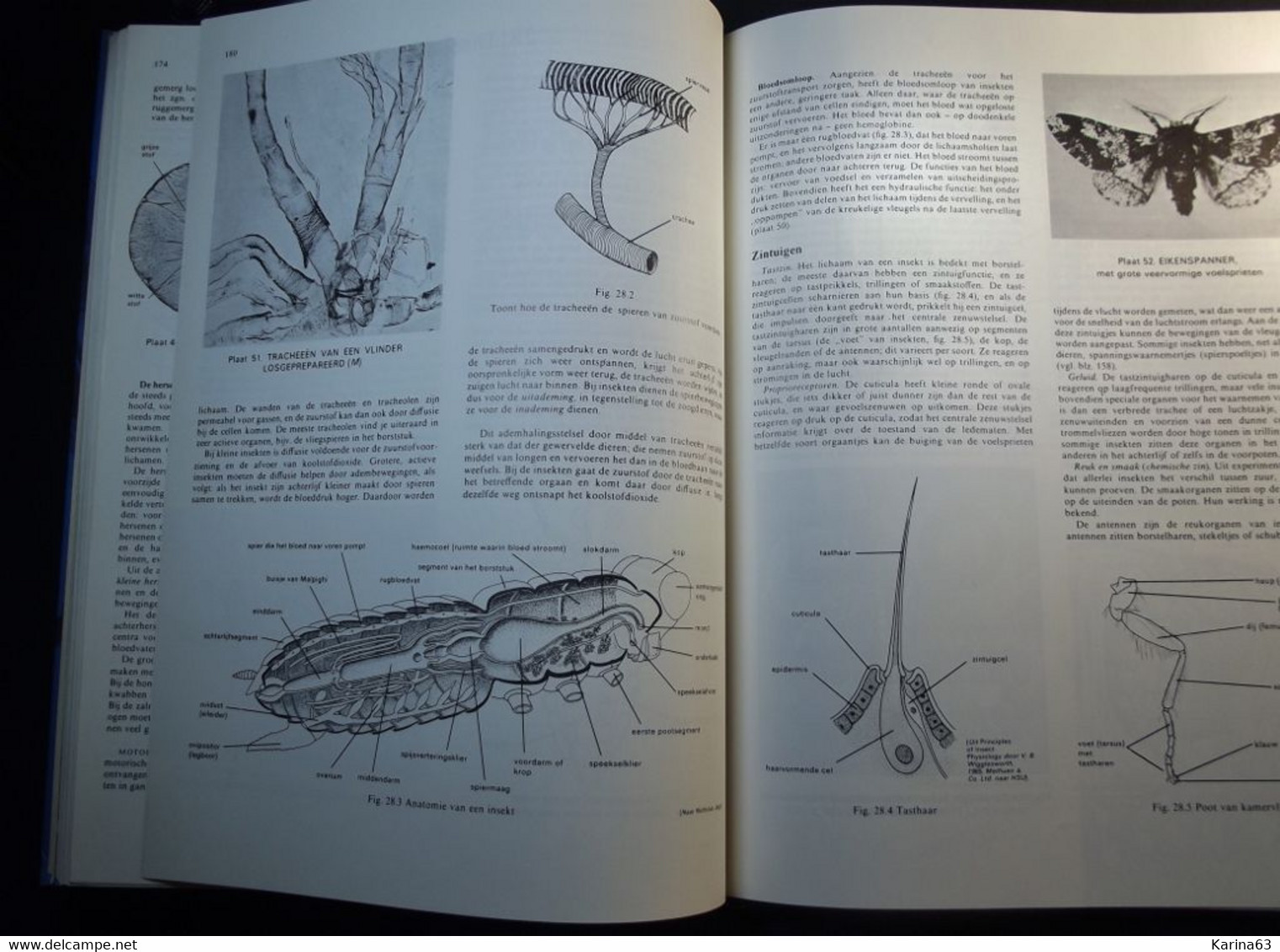 Biologie - - inleiding - Athenea Lycea - studieboek Inleiding to Biologie - D.G. Mackean - 263 pages - Hardcover