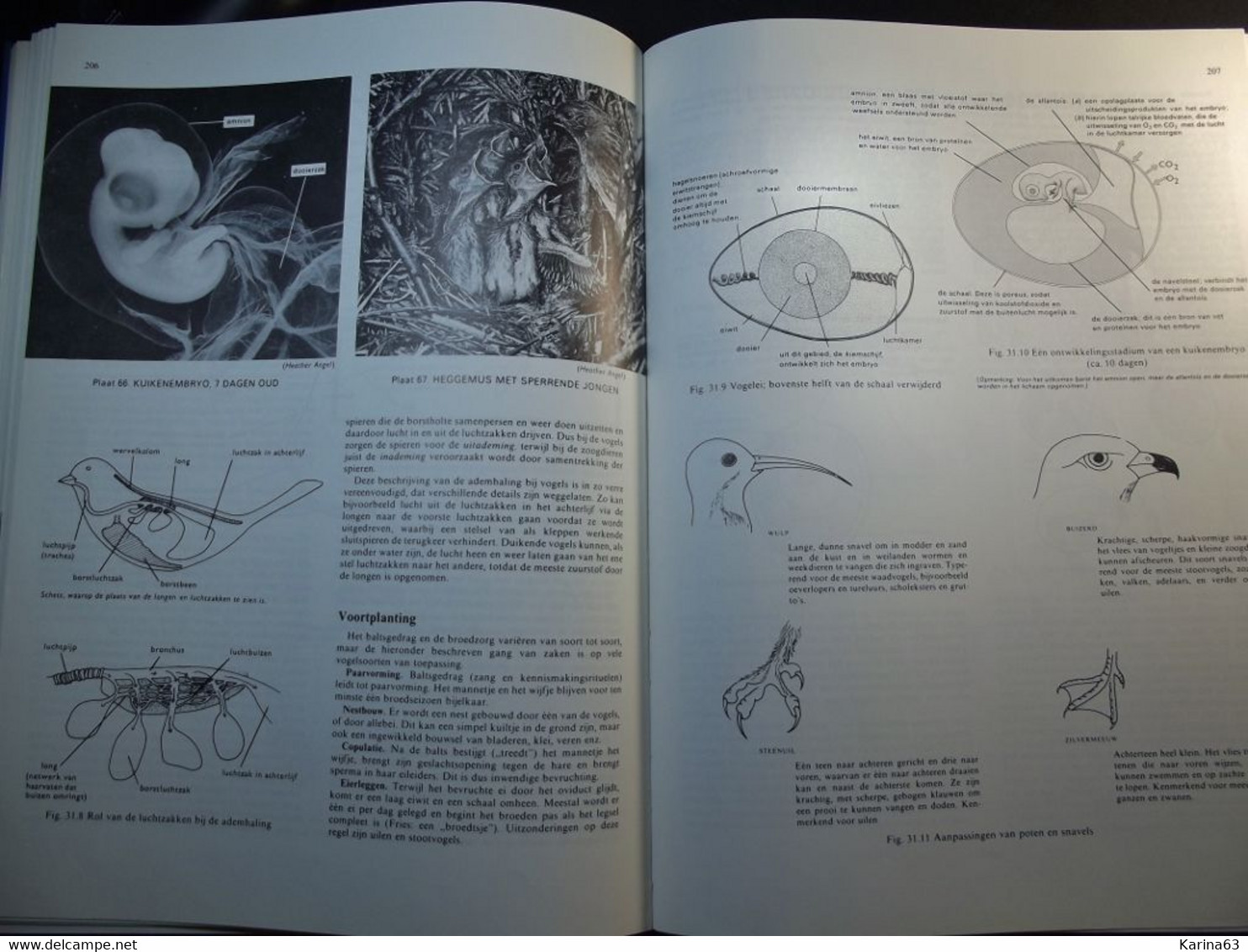 Biologie - - inleiding - Athenea Lycea - studieboek Inleiding to Biologie - D.G. Mackean - 263 pages - Hardcover