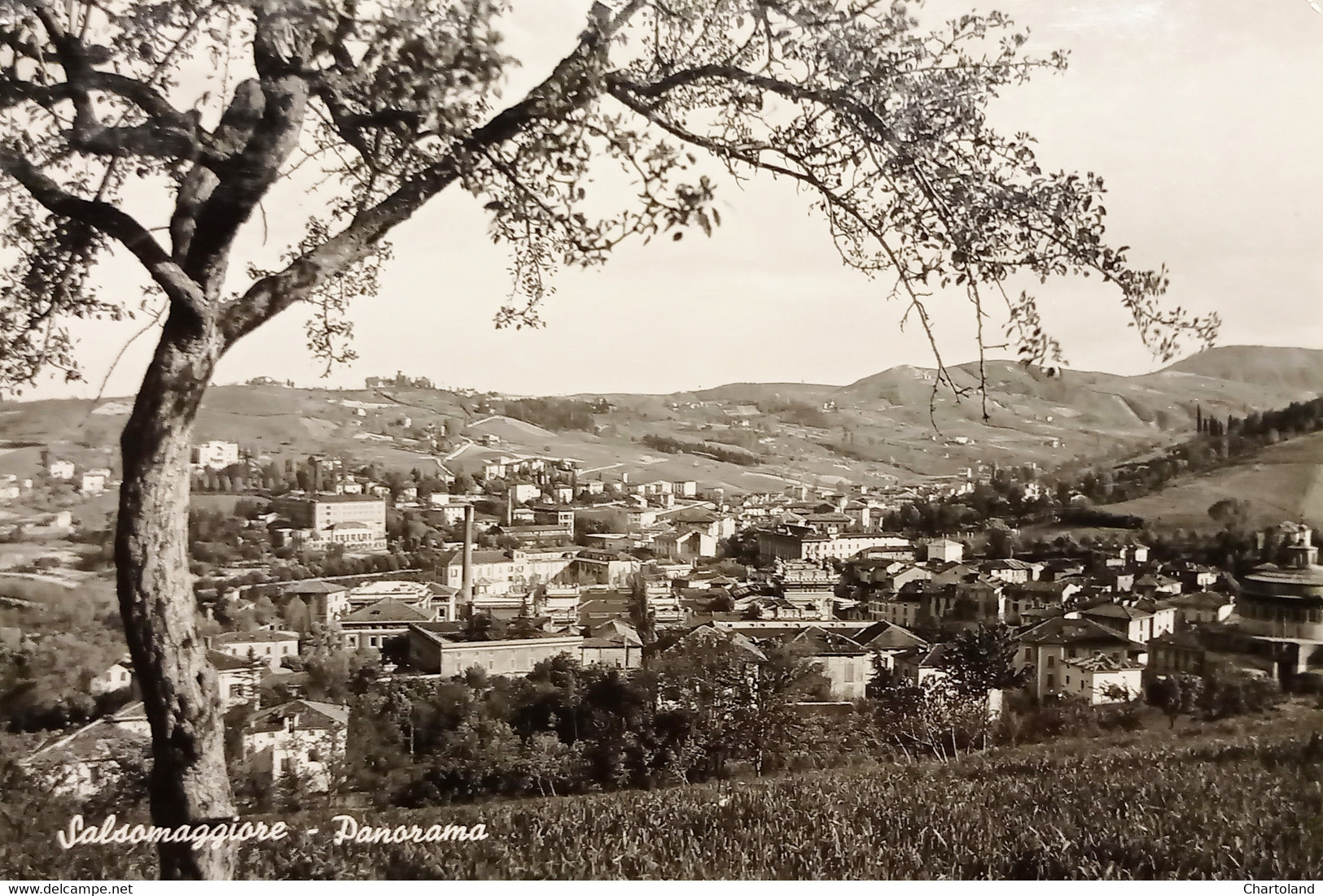 Cartolina - Salsomaggiore - Panorama - 1952 - Parma