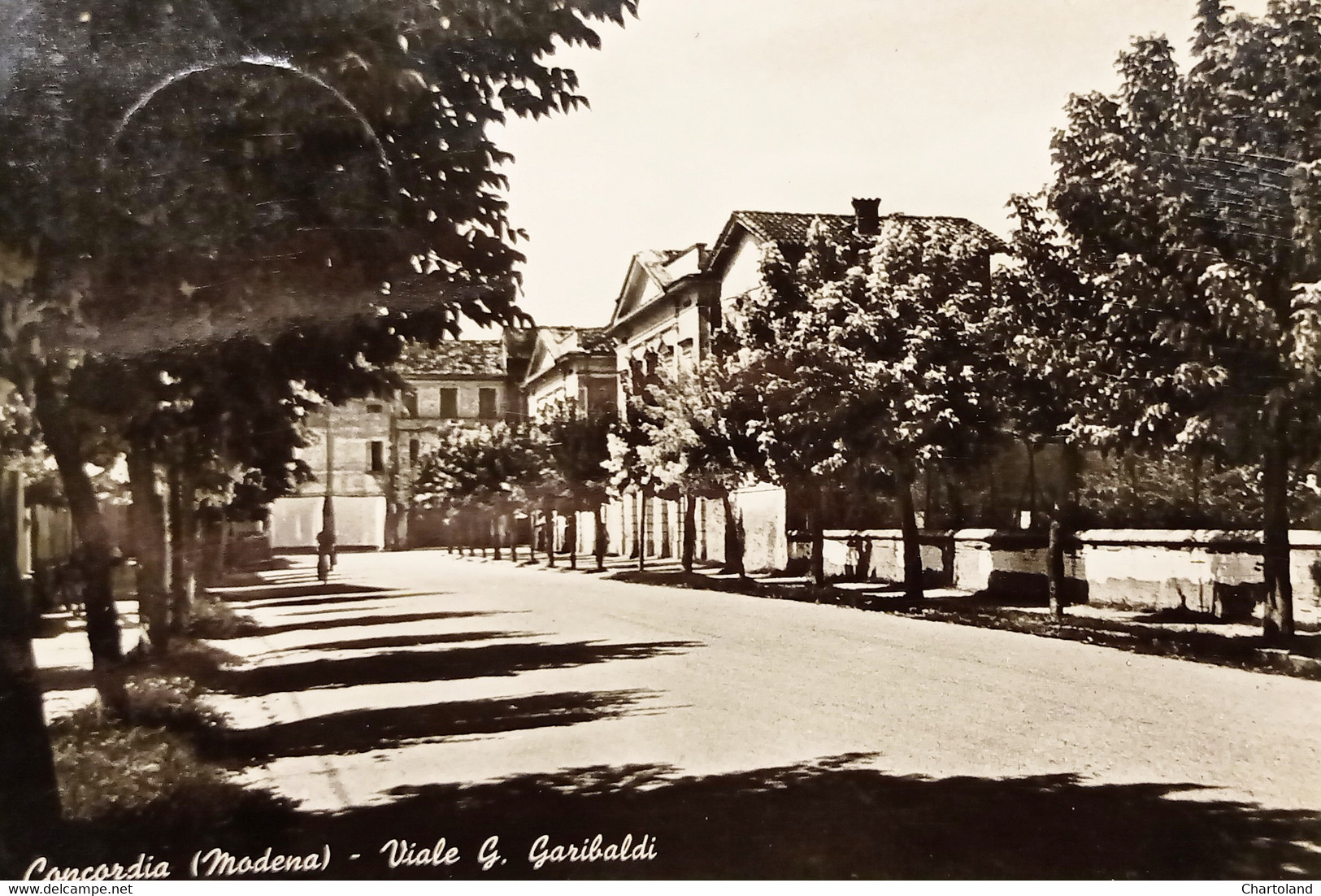 Cartolina - Concordia ( Modena ) - Viale G. Garibaldi - 1954 - Modena