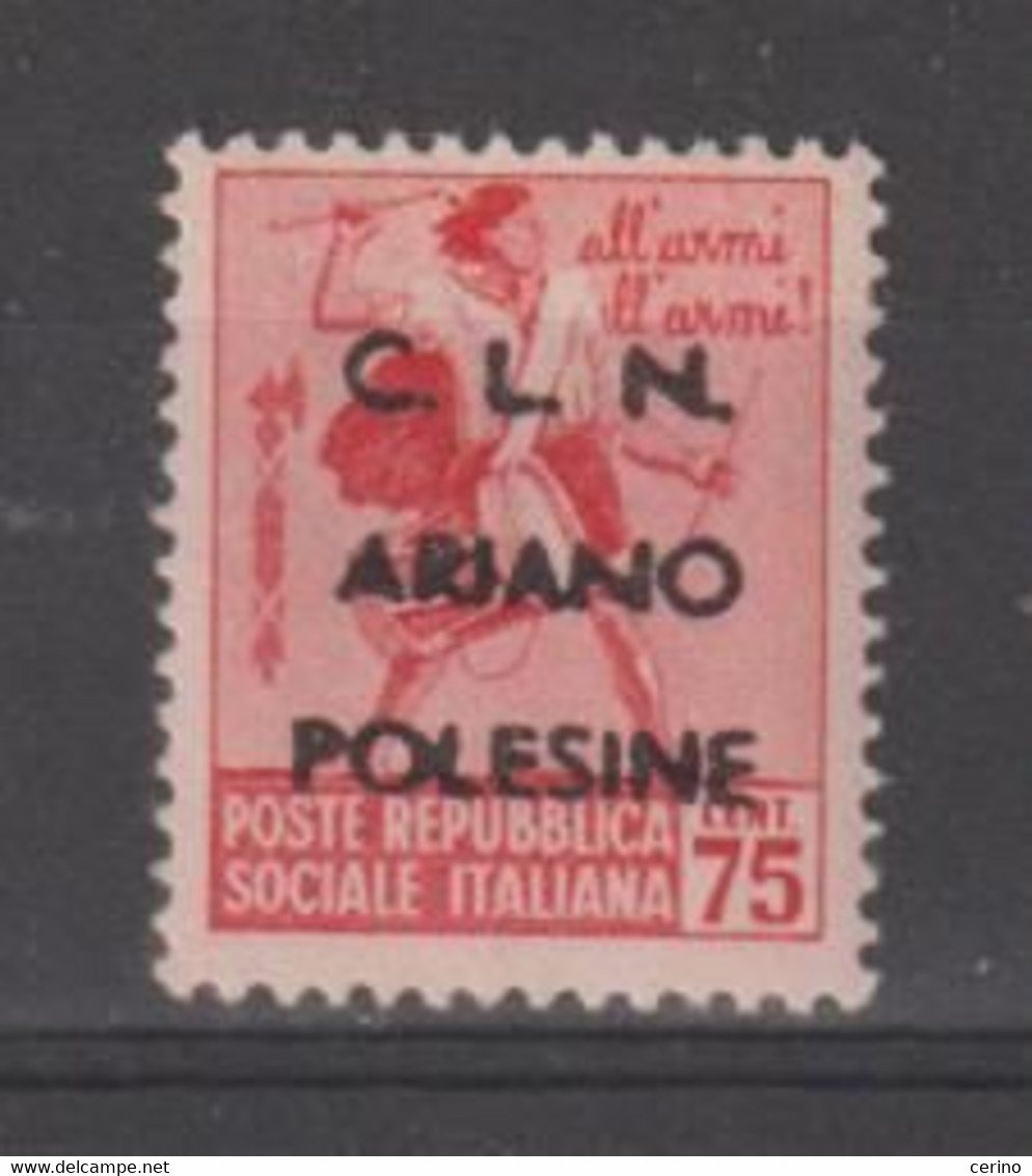 R.S.I. - C.L.N.:  1945  ARIANO  POLESINE  -  75 C. CARMINIO  N. -  SOPRASTAMPA  NERA  -  ERRANI  351 - Nationales Befreiungskomitee