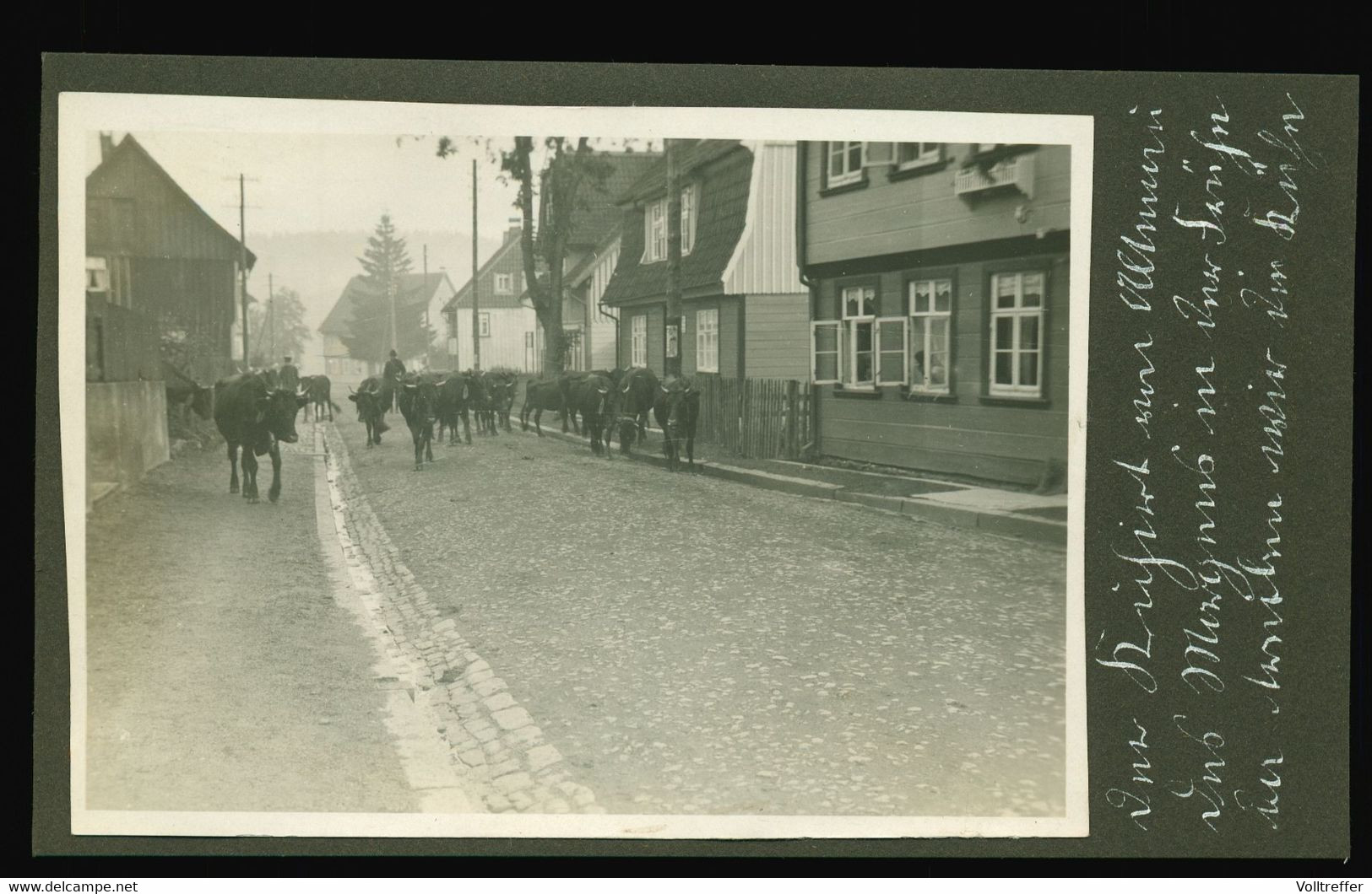 7x Foto Um 1930: Altenau Im Harz + Goslar, Ortspartie, Straße, Privathaus Pension, Markt, Dorfstraße, Kühe - Altenau