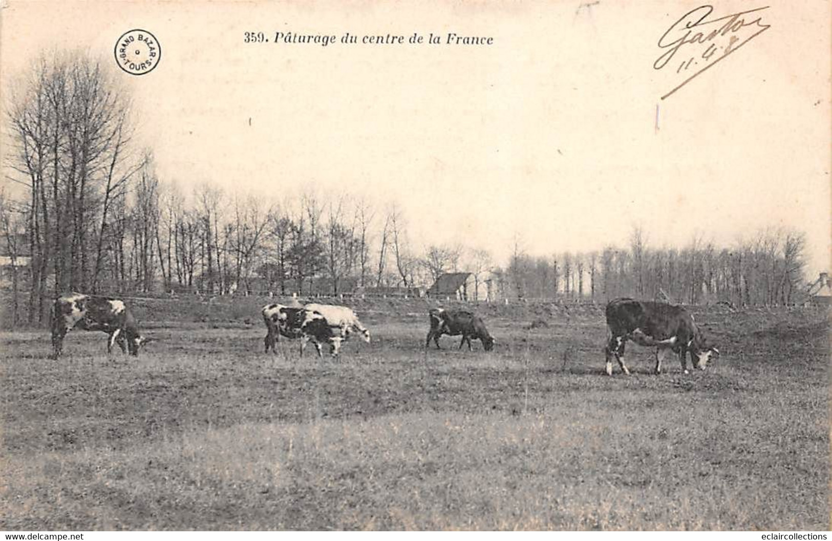 Les Bords Du Cher       37      Pâturage Du Centre De La France - Vaches -  Grand Bazar  N° 359  (voir Scan) - Other & Unclassified