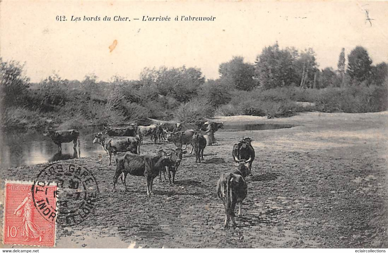 Les Bords Du Cher     37     Pâturage Du Centre De La France - Vaches .  L'abreuvoir -  Grand Bazar  N° 612 (voir Scan) - Other & Unclassified