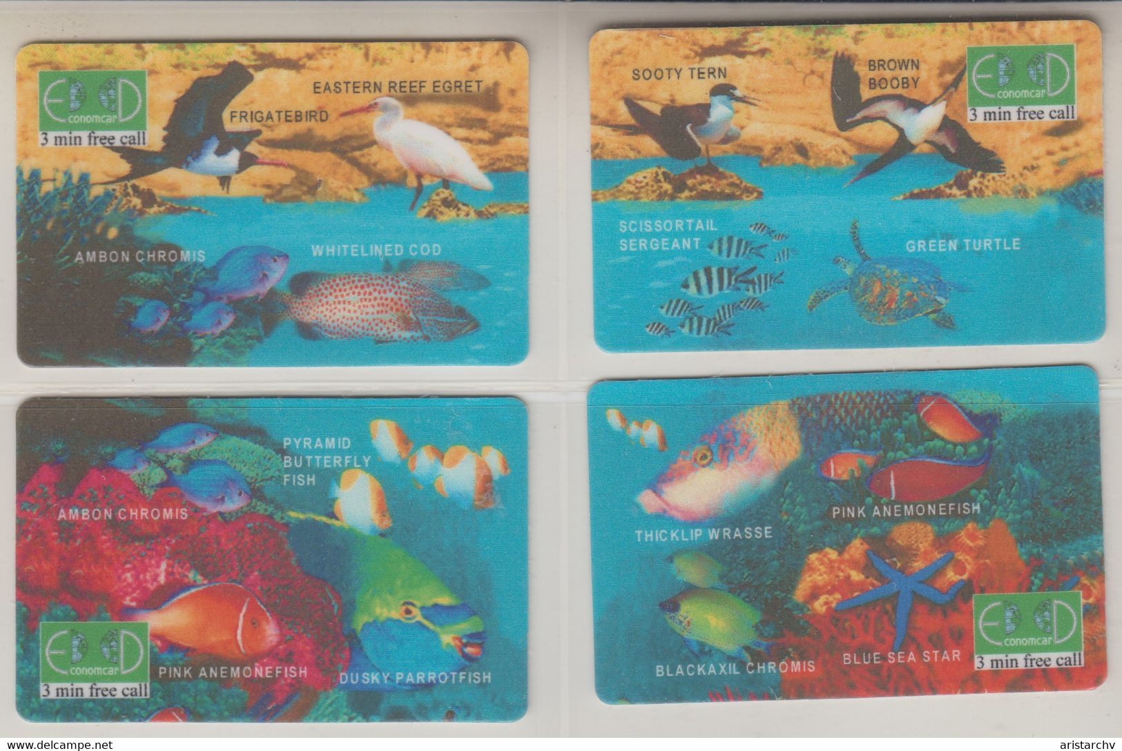 ISRAEL FISH FRIGATEBIRD EGRET TERN TURTLE CORAL SEA STAR PUZZLE - Poissons