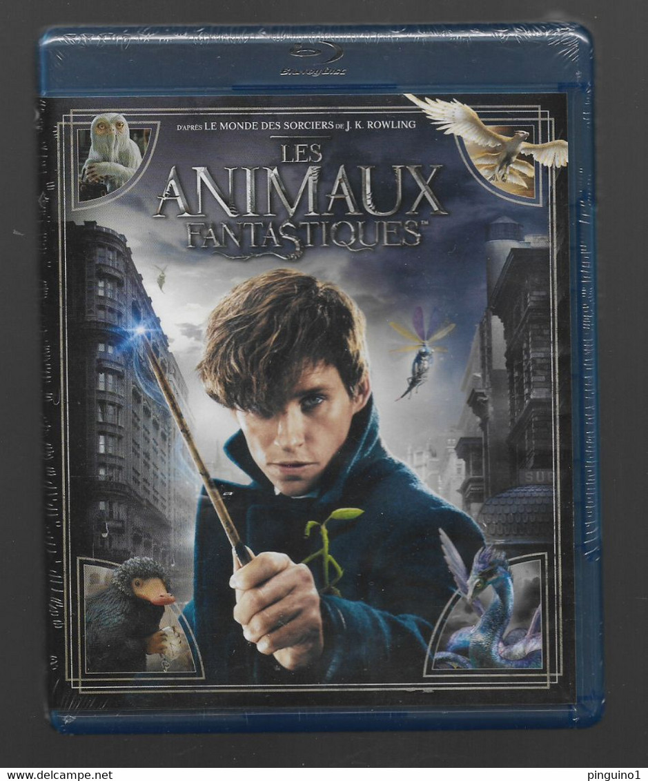 Dvd Les Animaux Fantastiques  Blu-ray - Fantasy