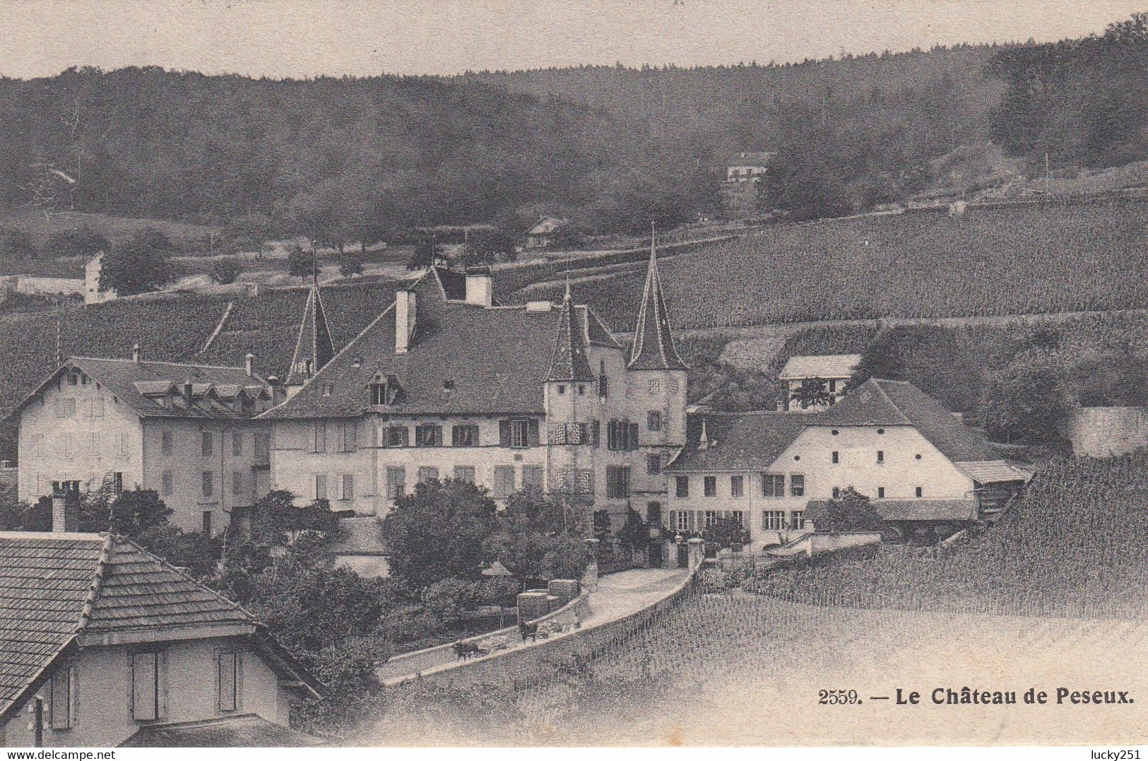 Suisse - Châteaux - Peseux - Le Château - Circulée 23/10/1906 - Peseux