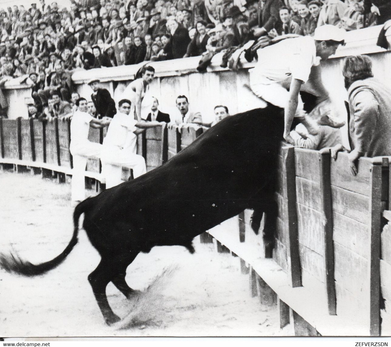 30 NIMES TAUREAU TAUREAUX ARENES VOVO - Sport