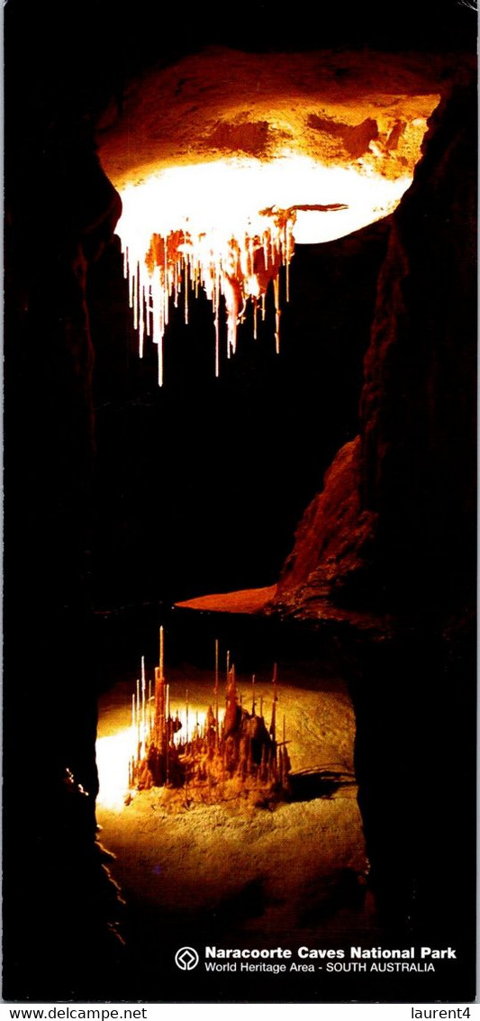 (5 A 19) Australia - SA - Naracoorte Caves (2 Postcards) - Otros & Sin Clasificación