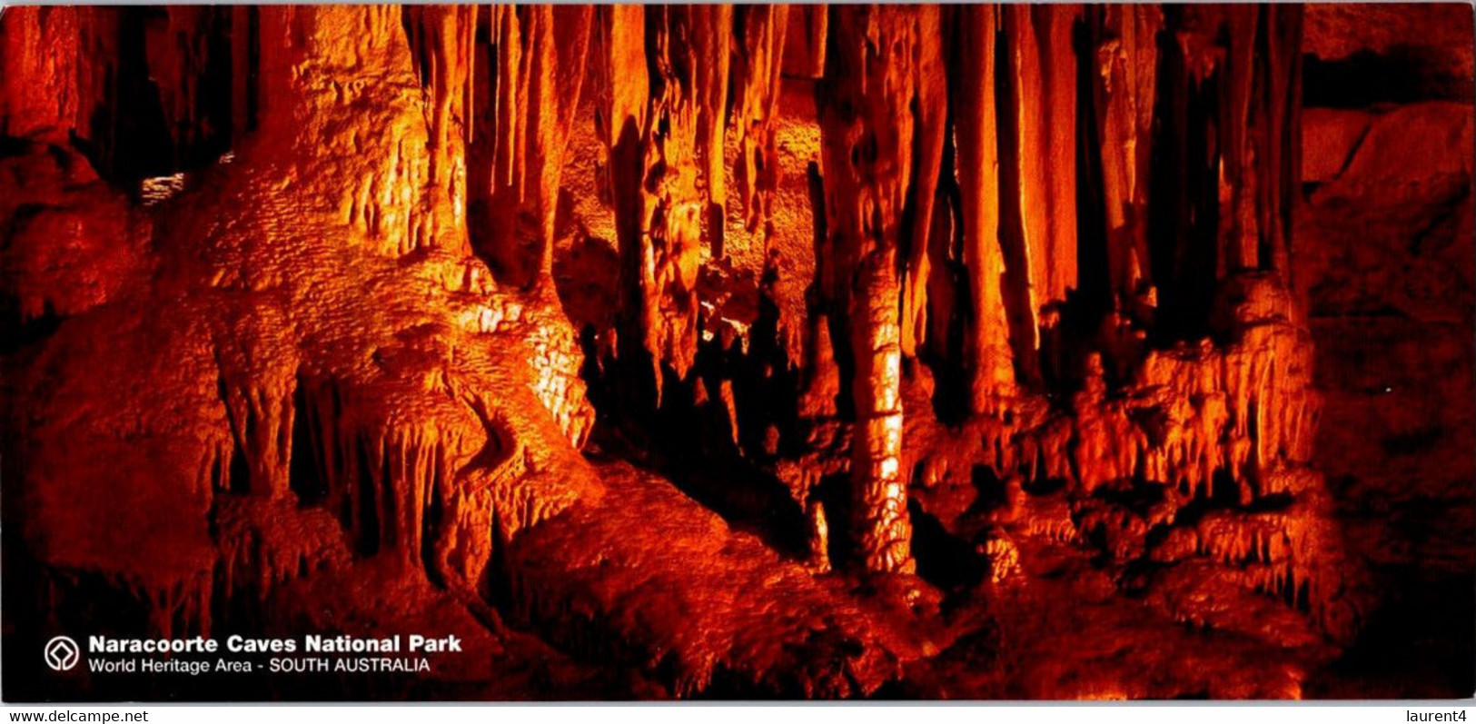 (5 A 19) Australia - SA - Naracoorte Caves (1 Postcard) - Autres & Non Classés