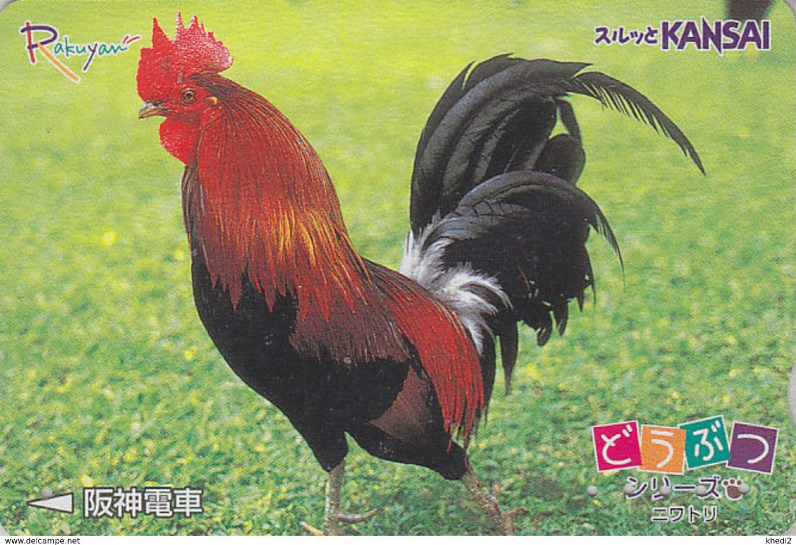 Carte JAPON / Série Animaux Rakuyan - ANIMAL - OISEAU - COQ - ROOSTER Bird JAPAN Card Transport Ticket - HAHN - 5697 - Gallinaceans & Pheasants