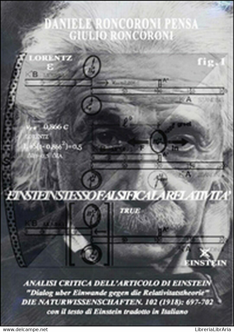 Analisi Critica Dell’articolo Di Einstein,  Di Daniele Roncoroni Pensa,  2015 - Medicina, Biologia, Chimica