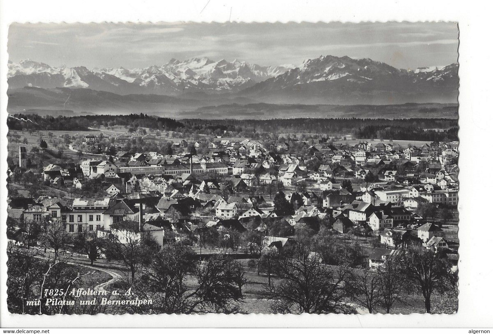 29030 - Affoltern Albis Mit Pilatus Und Berneralpen - Affoltern