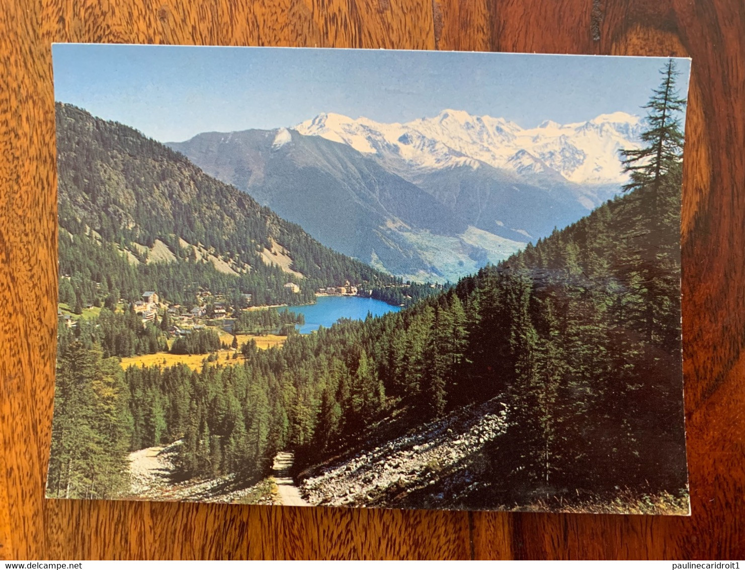 Lac De Champex Et Grand Combin - Cham