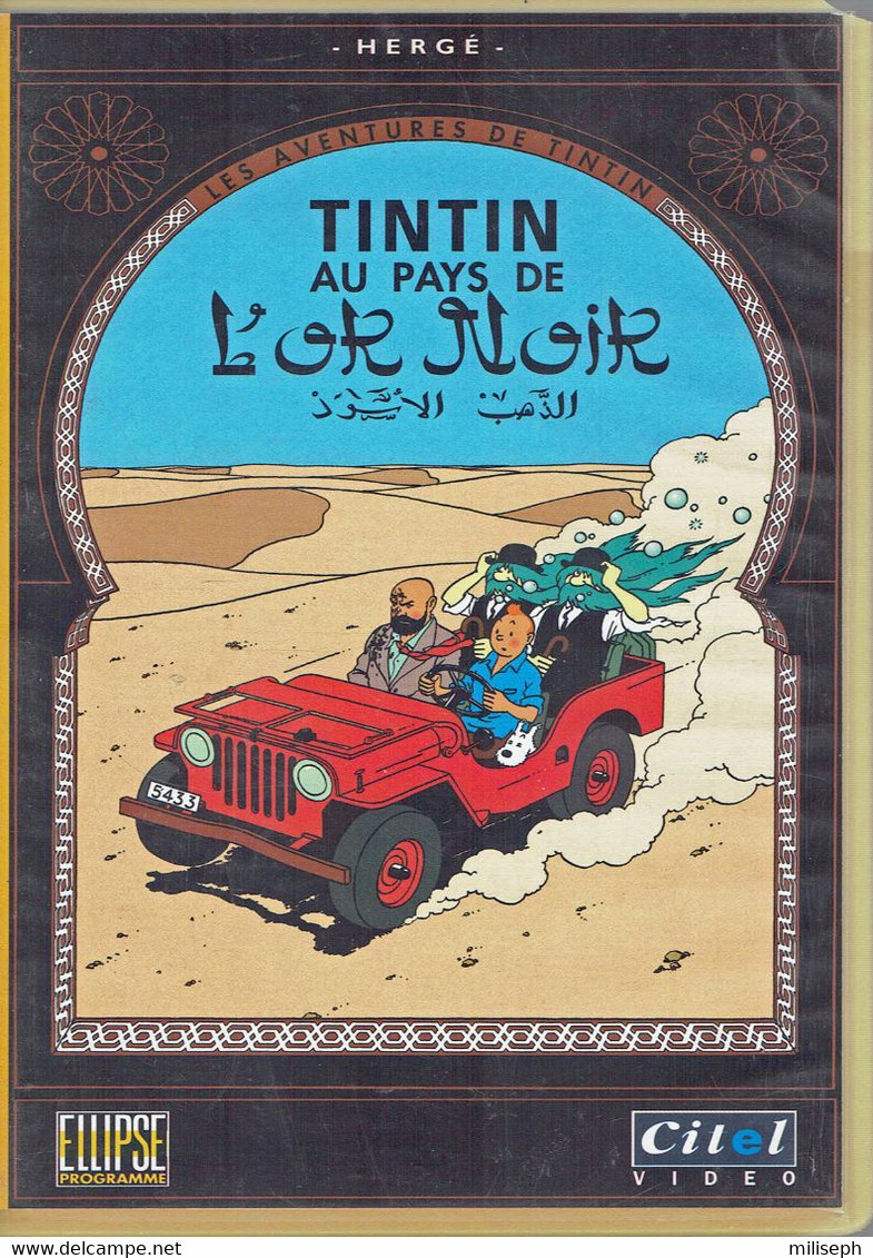 VIDEO CITEL - VHS PAL - TINTIN - AU PAYS DE L'OR NOIR  (4859) - Infantiles & Familial