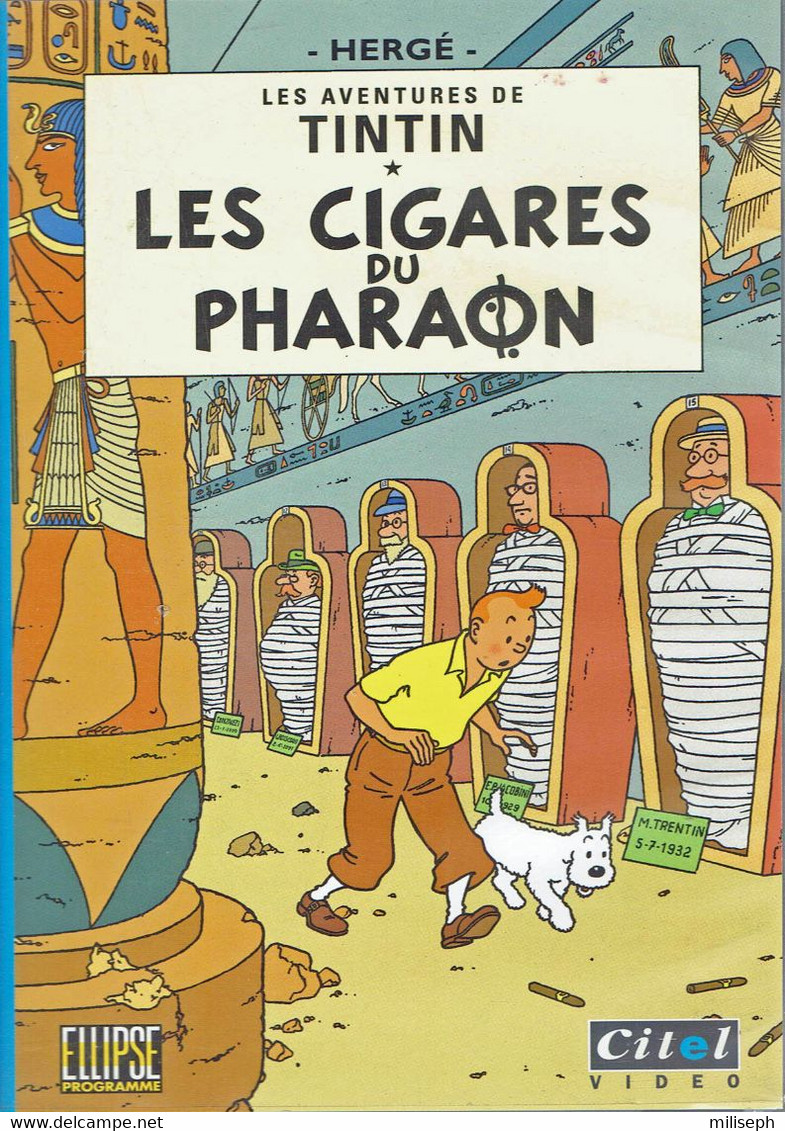 VIDEO CITEL - VHS PAL - TINTIN - LES CIGARES DU PHARAON   (4862) - Enfants & Famille