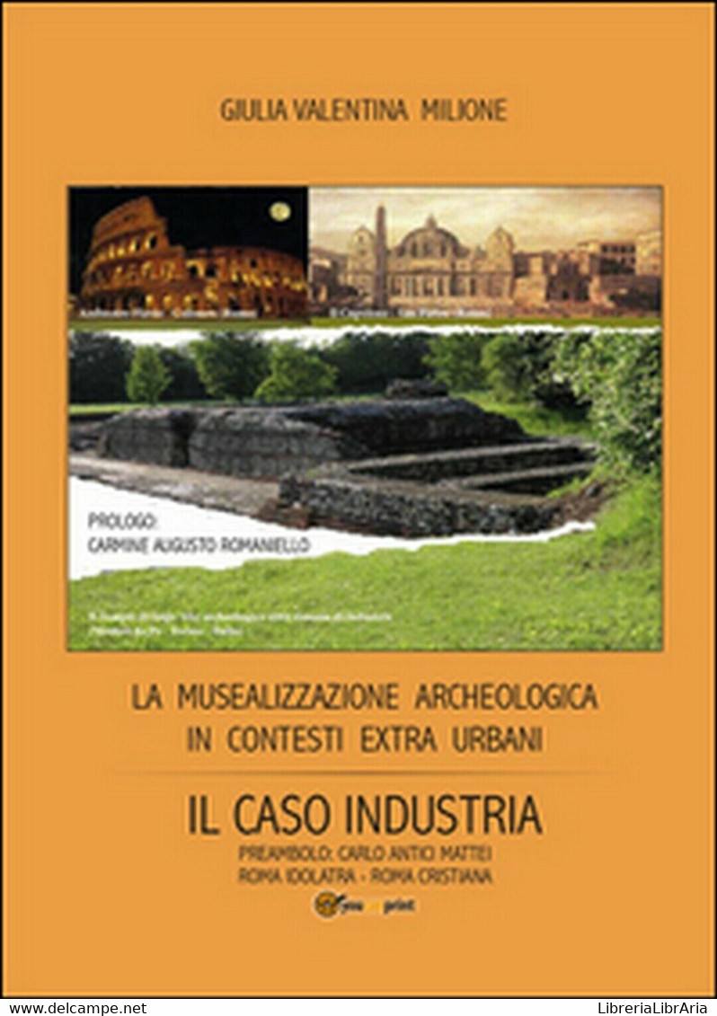 La Musealizzazione Archeologica In Contesti Extra Urbani: Il Caso Industria - Arte, Architettura