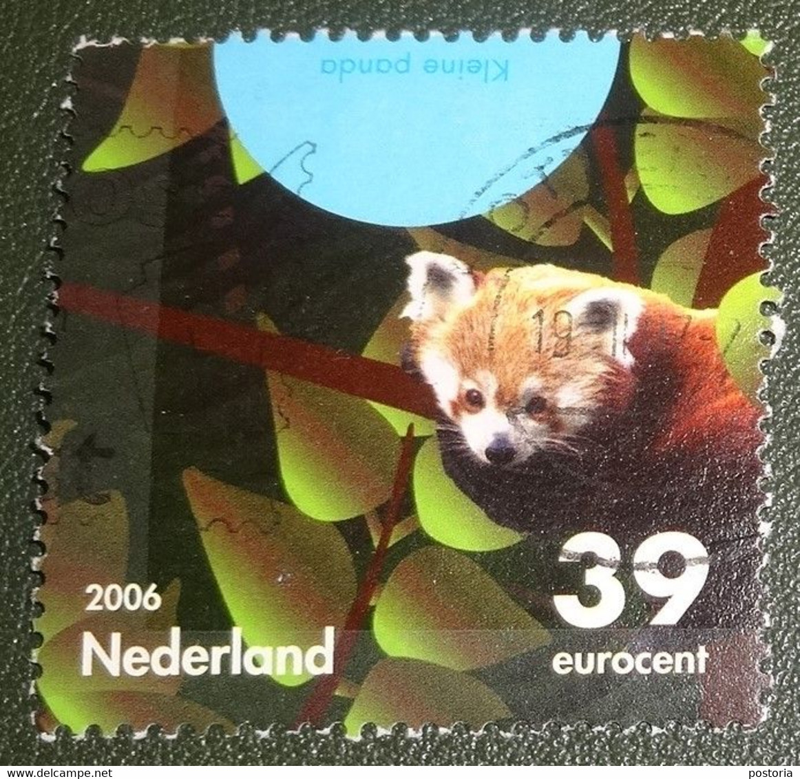Nederland - NVPH - 2441f - 2006 - Gebruikt - Cancelled - Bedreigde Dieren - Kleine Panda - Usati
