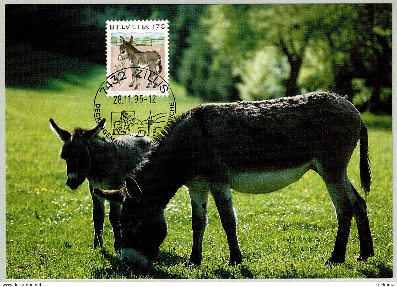 Schweiz / Helvetia 1995, Karte Dauermarke Tiere Zillis, Esel / Equus Asinus Asinus - Asini