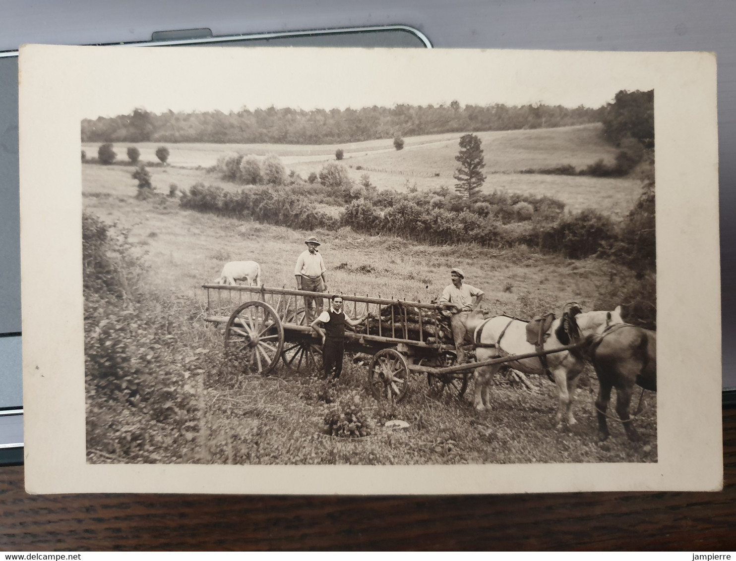 Agriculture - Attelage Chevaux Tirant Du Bois (belle Animation) - Equipos