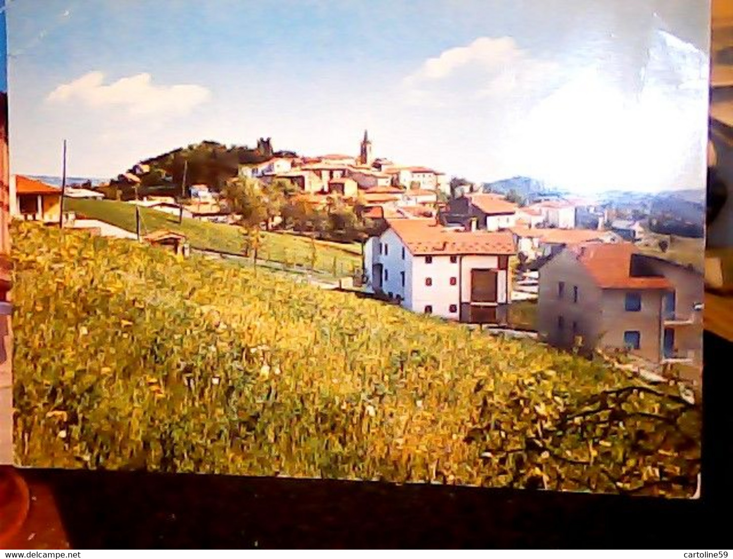 TIZZANO VAL PARMA PANORAMA N1975   IG10688 - Parma