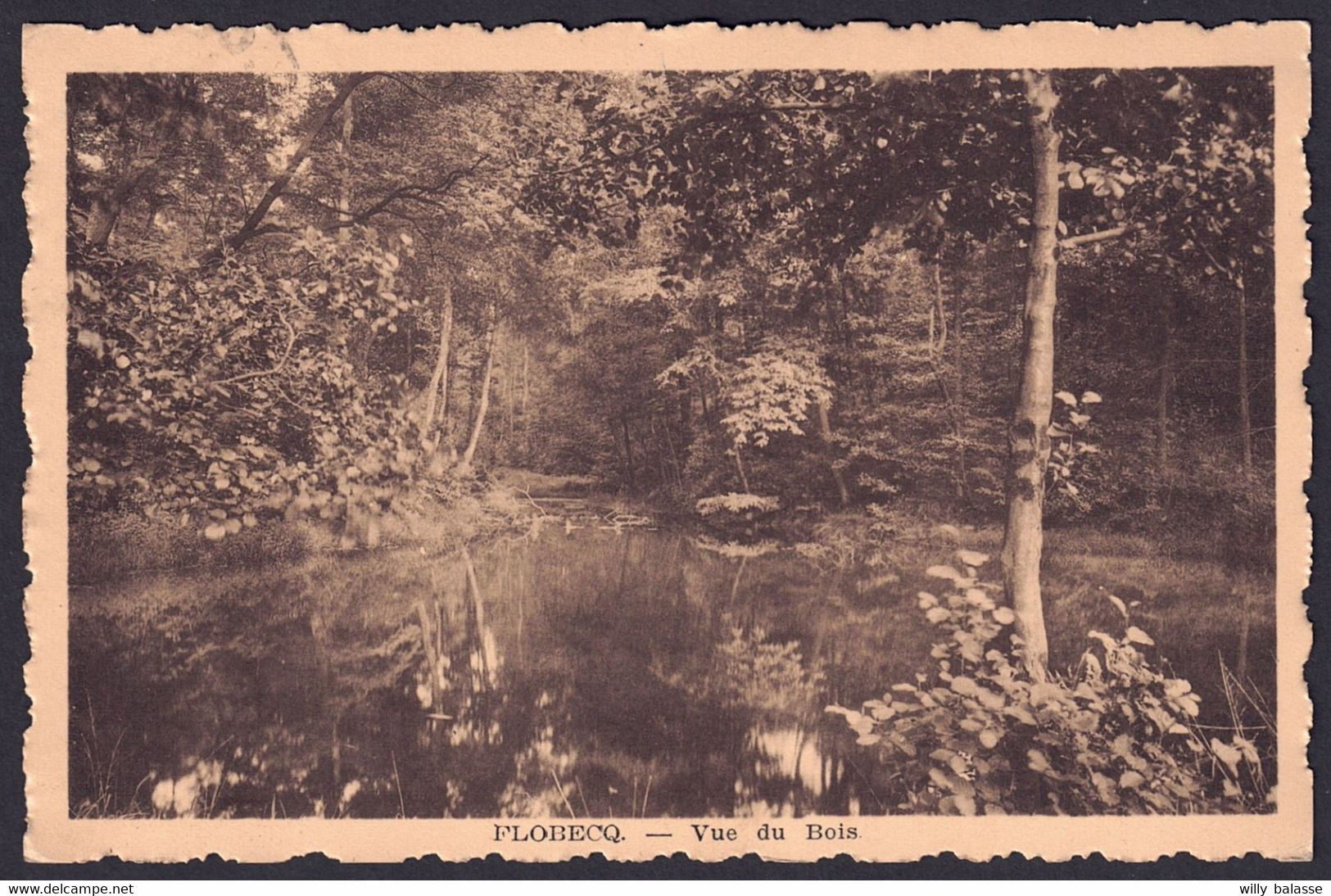 +++ CPA - FLOBECQ - VLOESBERG - Vue Du Bois  // - Flobecq - Vloesberg