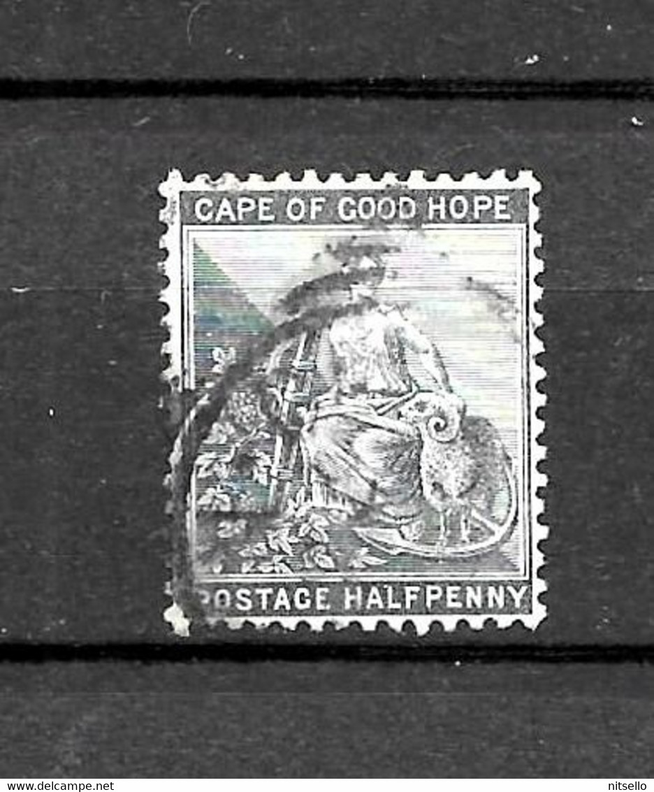 LOTE 2215 ///  CABO DE BUENA ESPERANZA - Kaap De Goede Hoop (1853-1904)