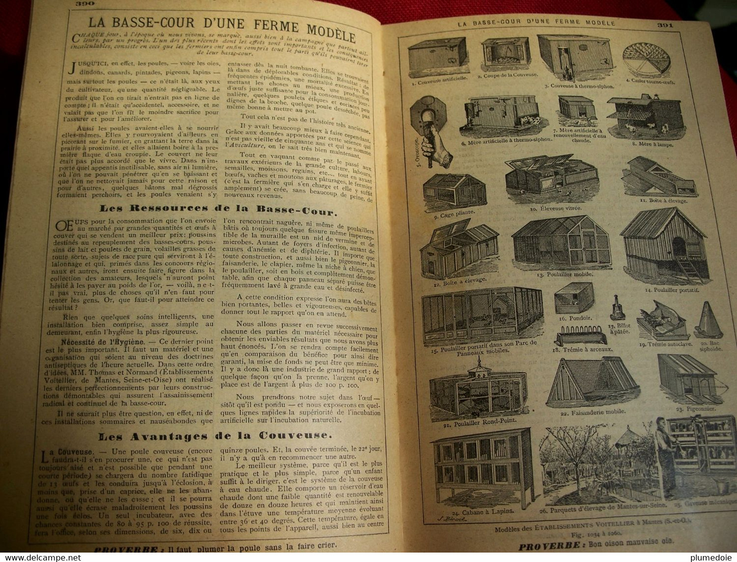 ALMANACH HACHETTE 1904  Petite encyclopédie populaire de la vie pratique. Calendrier . Benjamin RABIER . VAN MUYDEN