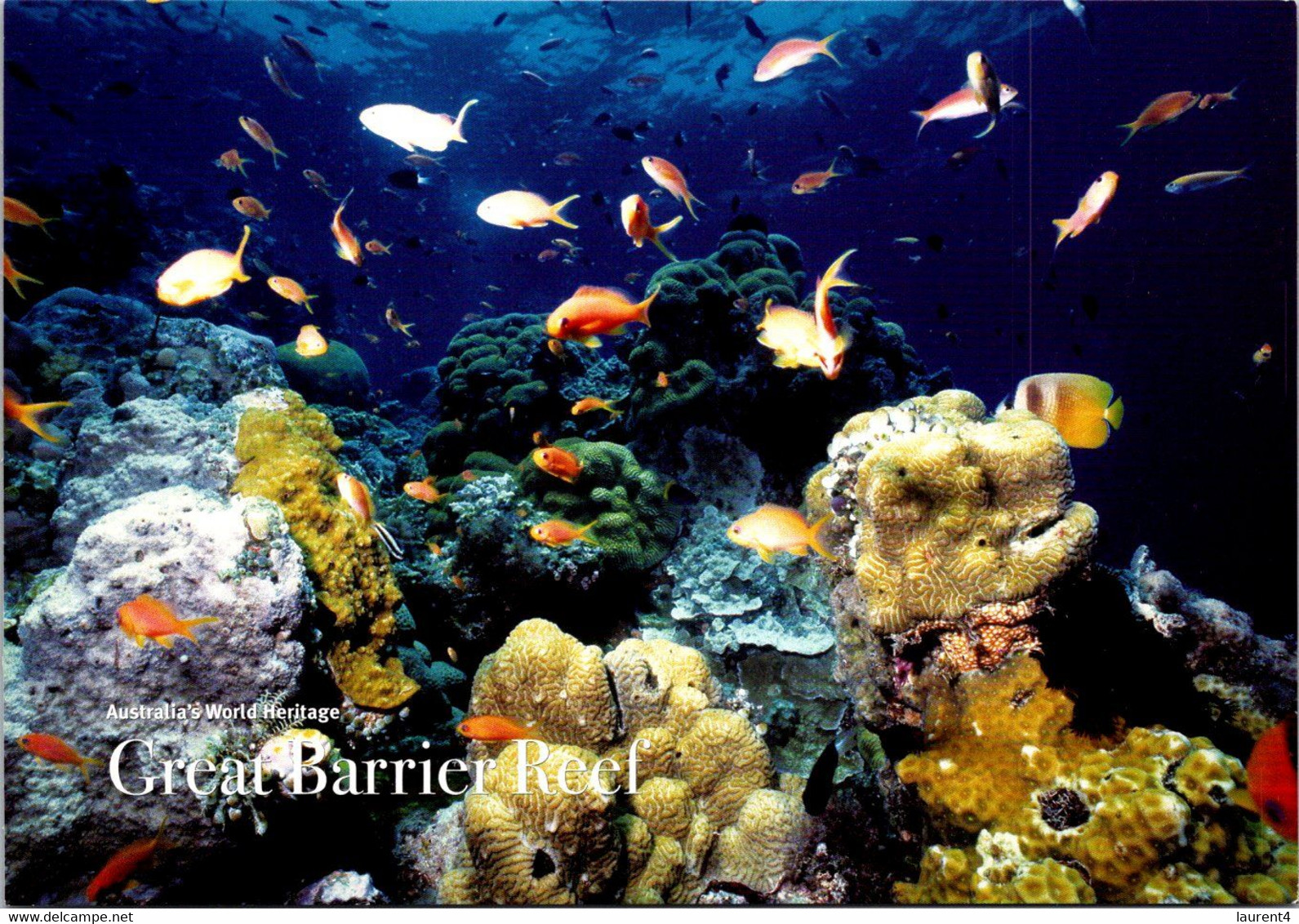 (5 A 24) Australia - QLD - Great Barrier Reef (UNESCO) Fish - Far North Queensland