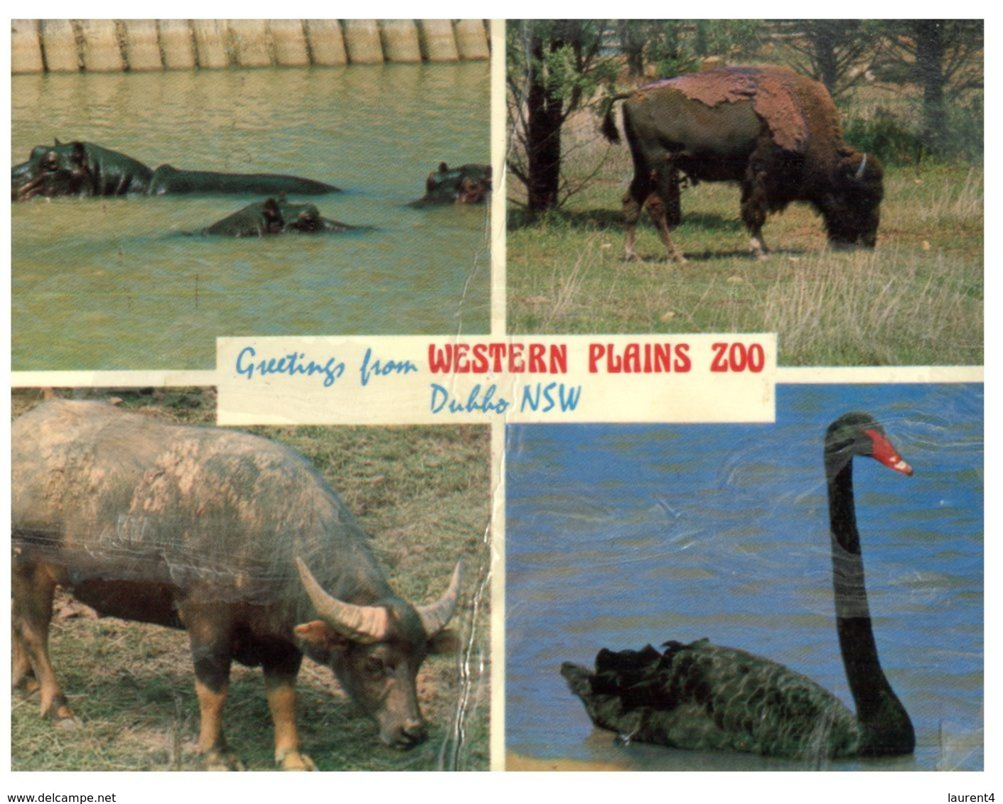 (A 31) Australia - NSW - Dubbo Plain Zoo (not Perfect) - Dubbo
