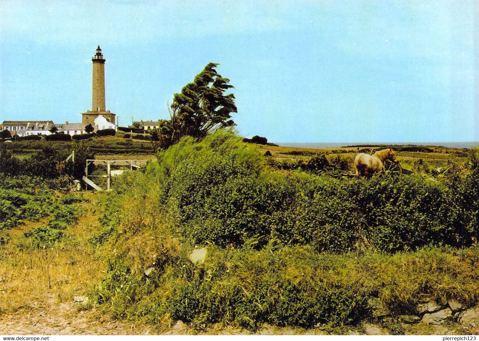 29 - Ile De Batz - Paysage De L'île Au Pied Du Grand Phare - Ile-de-Batz