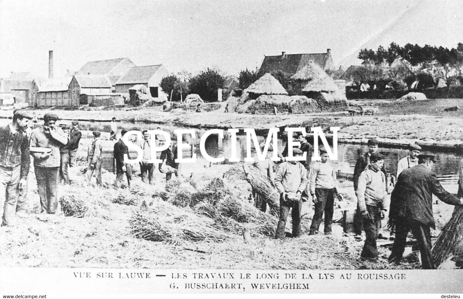 Les Travaux Le Long De La Lys Au Rouissage G. Busschaert Repro - Wevelgem - Wevelgem