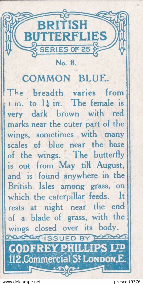 8 Common Blue - British Butterflies 1926 -  Phillips Cigarette Card - Original - Phillips / BDV