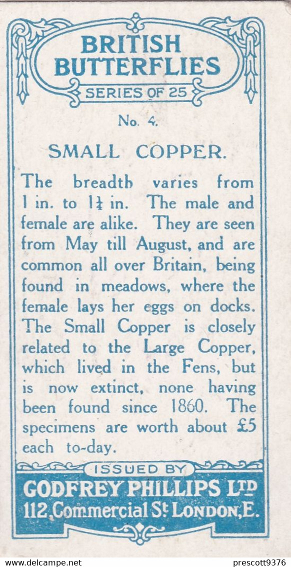 4 Small Copper - British Butterflies 1926 -  Phillips Cigarette Card - Original - Phillips / BDV