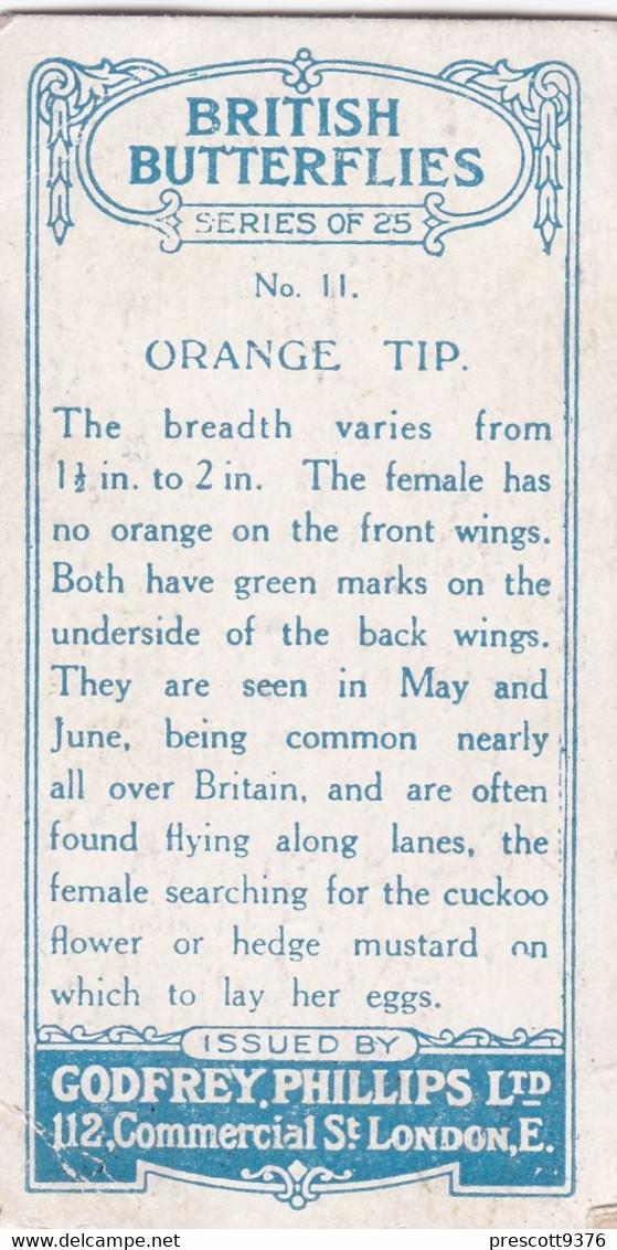 11 Orange Tip - British Butterflies 1926 -  Phillips Cigarette Card - Original - Phillips / BDV