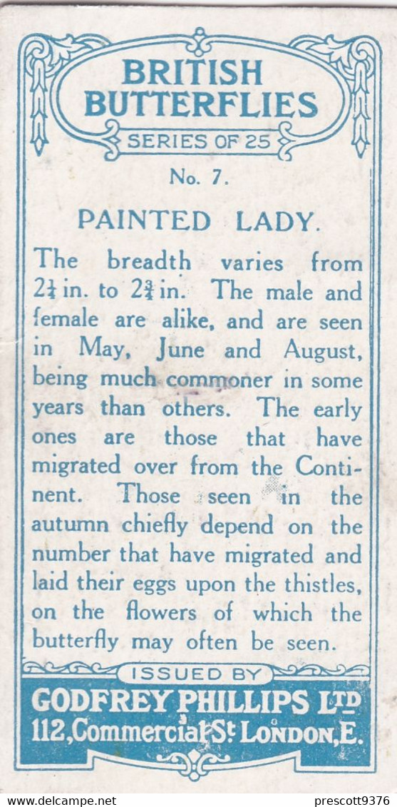 7 Painted Lady - British Butterflies 1926 -  Phillips Cigarette Card - Original - Phillips / BDV