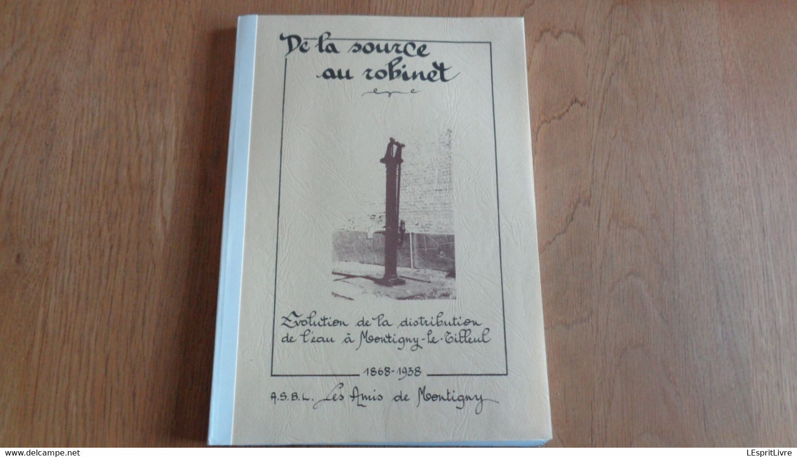 DE LA SOURCE AU ROBINET Evolution De La Distribution De L'Eau à Montigny Le Tilleul 1869 1938 Régionalisme Hainaut Pompe - Belgique