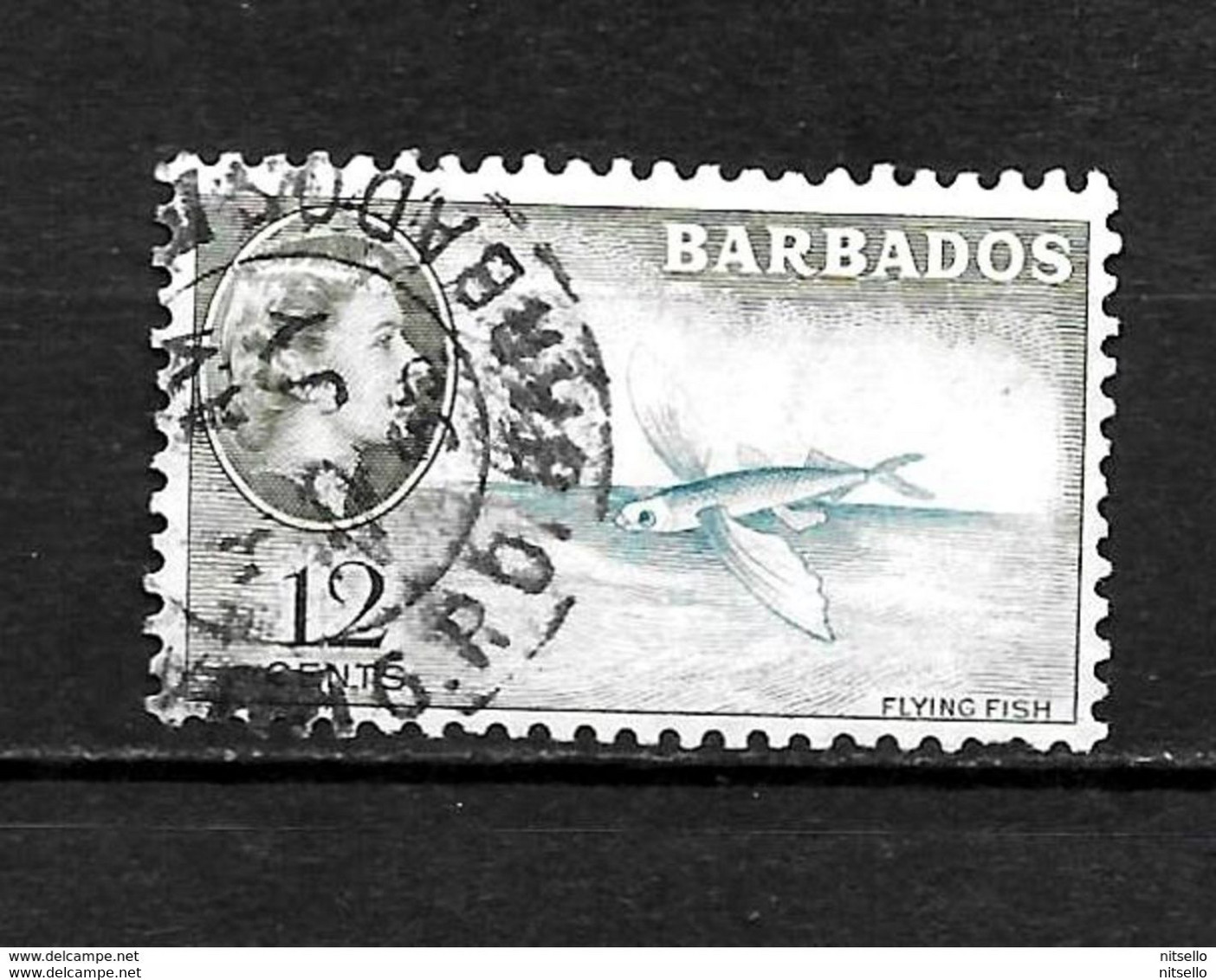 LOTE 2216  ///    COLONIAS INGLESAS - BARBADOS - Barbades (...-1966)