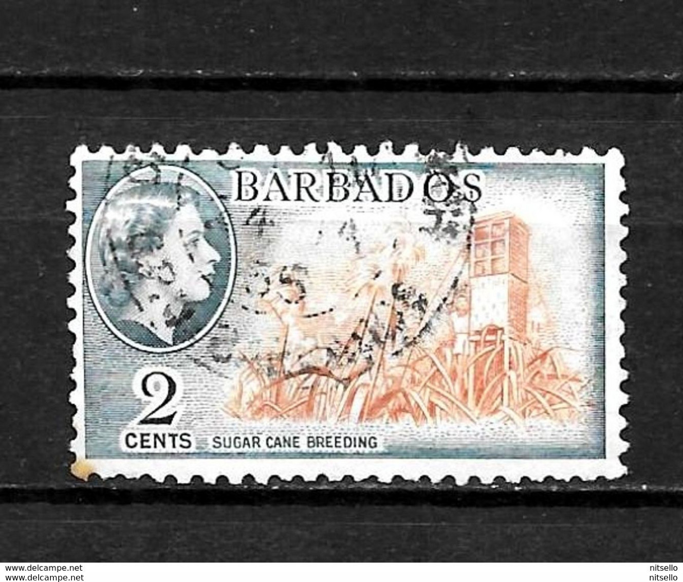 LOTE 2216  ///    COLONIAS INGLESAS - BARBADOS - Barbados (...-1966)