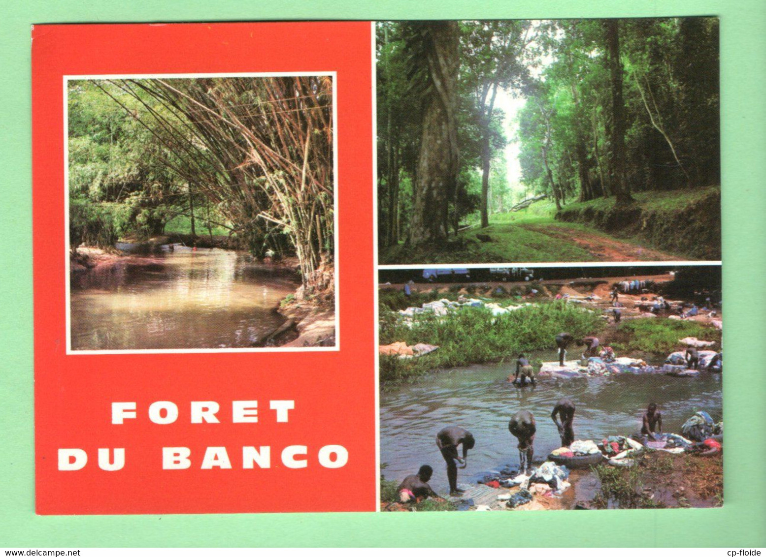 CÔTE D'IVOIRE . " FORÊT DE BANCO " - Réf. N°31814 - - Costa D'Avorio