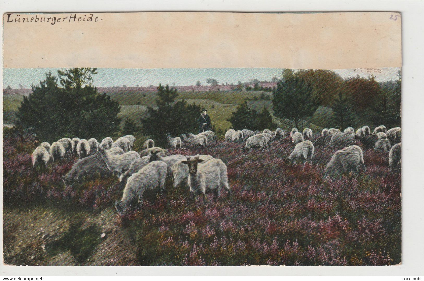 Lüneburger Heide, Heidschnuckenherde In Wilsede - Lüneburger Heide