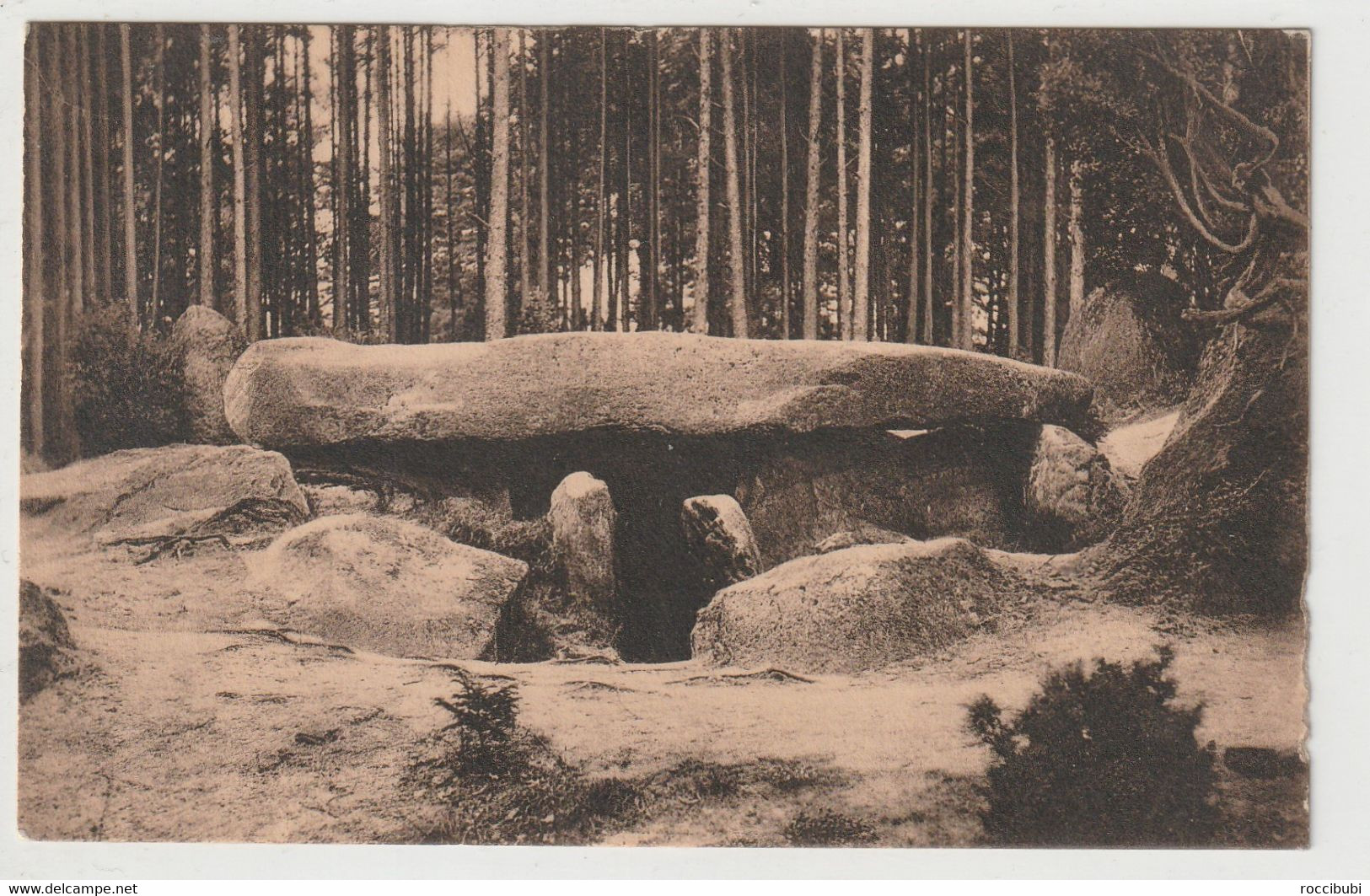 Fallingbostel, Siebensteinhäuser Hünengrab - Fallingbostel