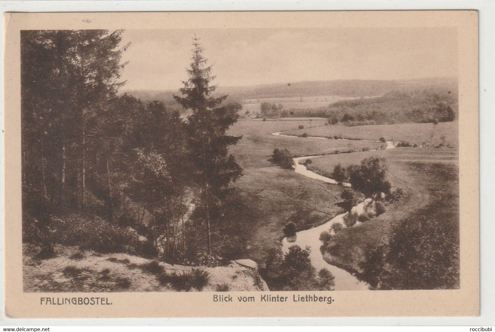 Fallingbostel, Blick Vom Klinter Liethberg - Fallingbostel
