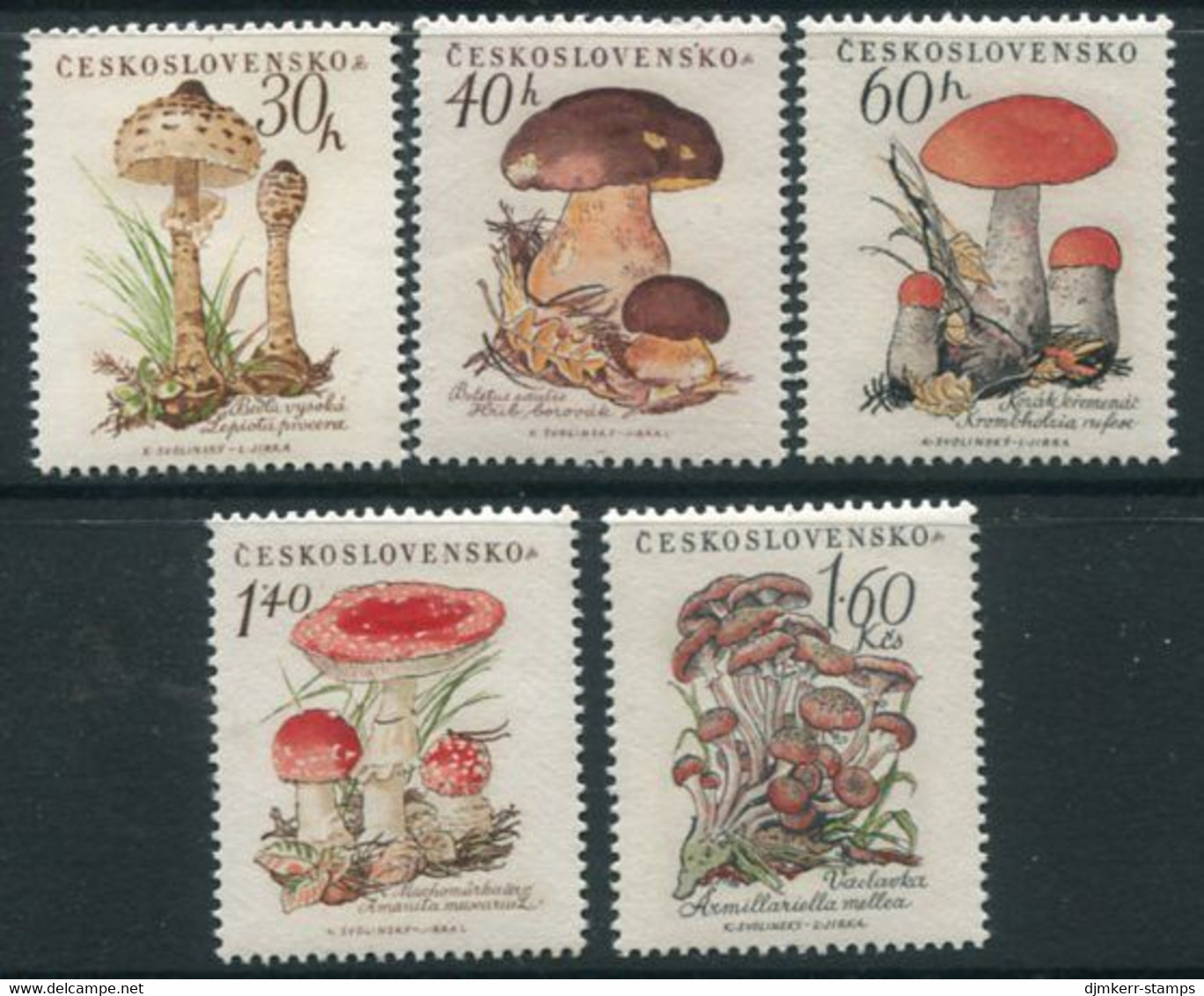 CZECHOSLOVAKIA 1958 Fungi MNH / **.  Michel  1101-05 - Nuovi