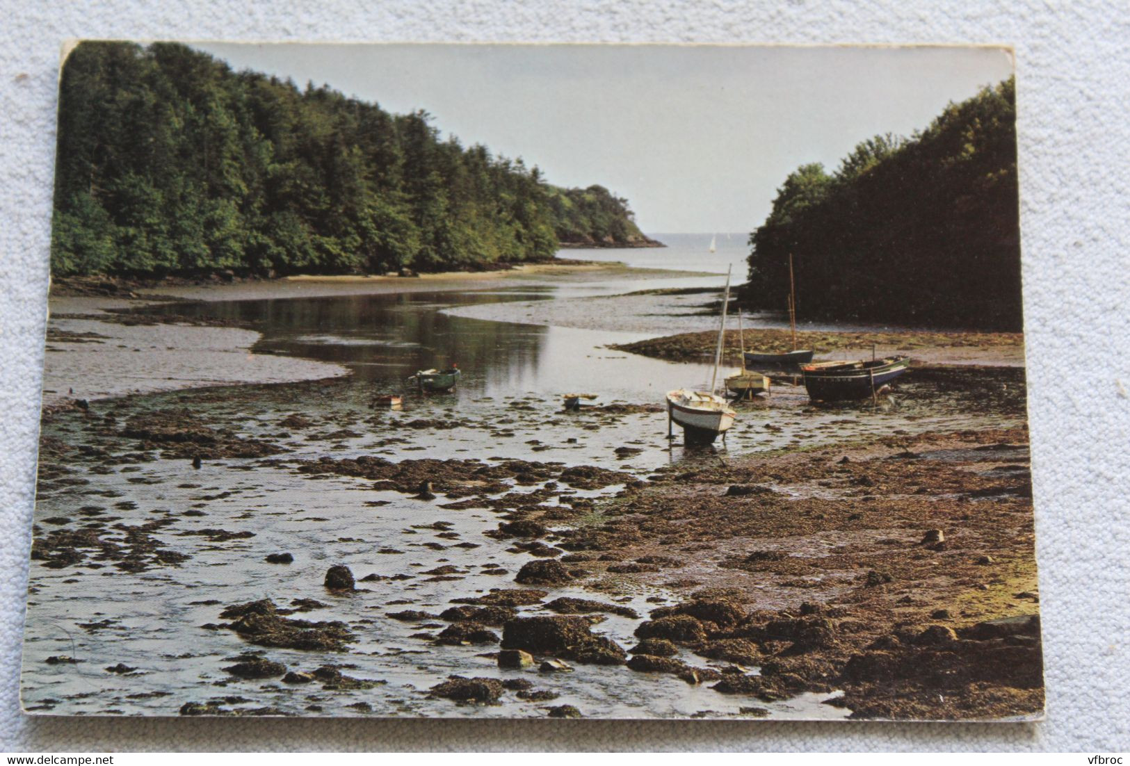 E217, Cpm, Anse De Saint Laurent, De Concarneau à La Forêt Fouesnant, Finistère 29 - Andere & Zonder Classificatie