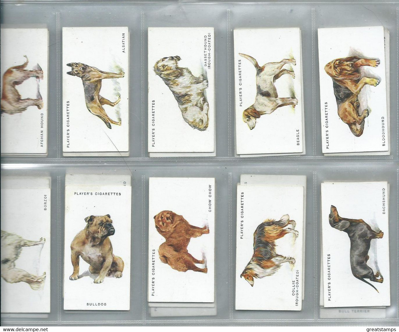 Players Cigarette Cards Dogs  Very Fine  Set Of 50 . 50/50 - Player's