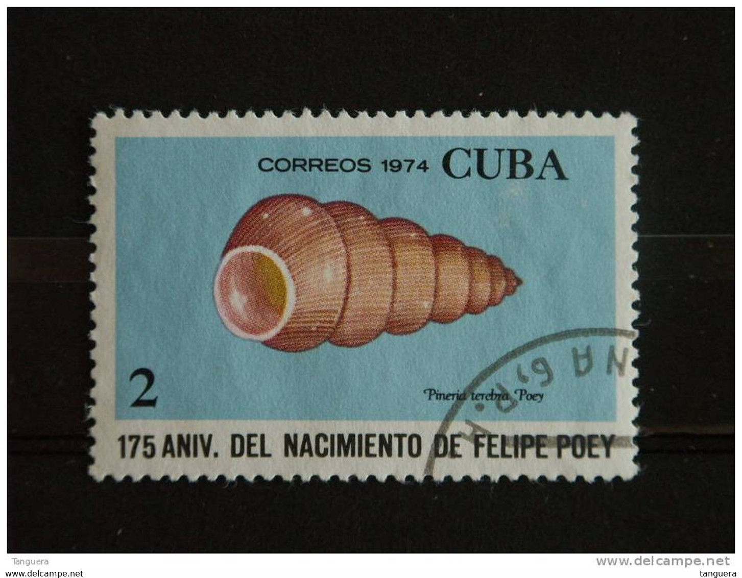 Cuba 1974 Coquillage Schelp Anniv. Naissance Naturaliste Felipe Poey Yv 1769 O - Used Stamps