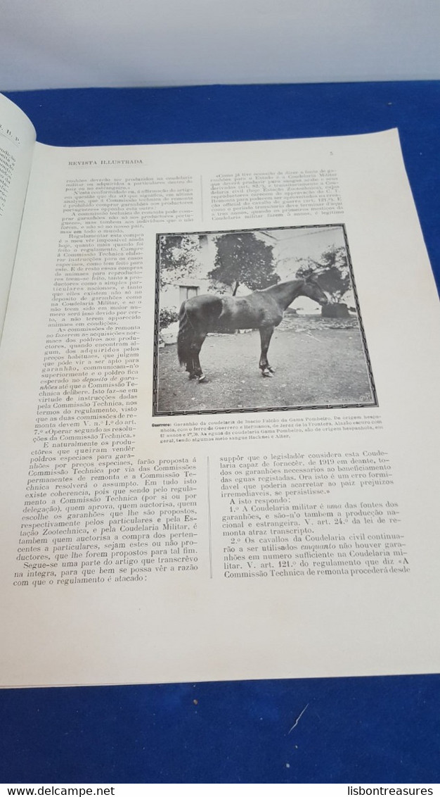 VERY RARE ANTIQUE PORTUGUESE MAGAZINE REVISTA ILUSTRADA DA SOCIEDADE HIPICA PORTUGUESA HORSES Nº46 1916 - Magazines